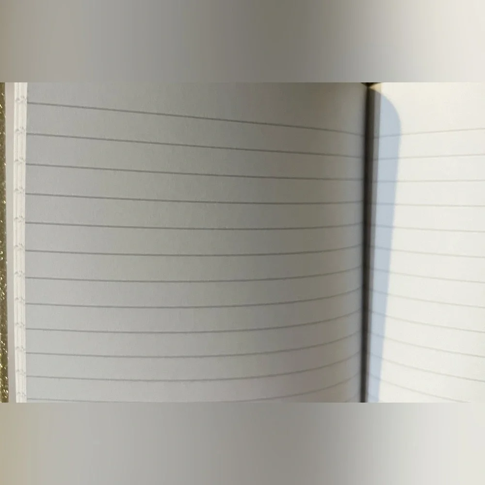 Kate Spade Gold Glitter The More The Merrier Lined Writing Journal NEW